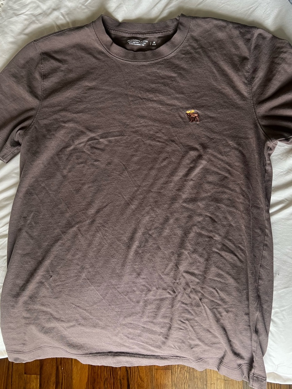 A&F Men’s Crewneck T-Shirt Brown